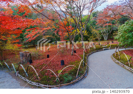 京都 宝厳院の紅葉 京都 宝厳院の紅葉 140293970