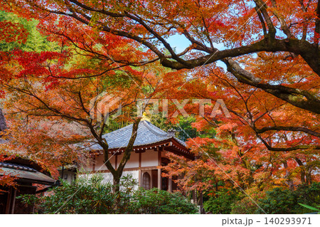 京都 宝厳院の紅葉 京都 宝厳院の紅葉 140293971