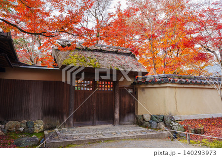 京都 宝厳院の紅葉 京都 宝厳院の紅葉 140293973