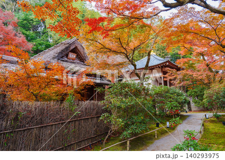 京都 宝厳院の紅葉 京都 宝厳院の紅葉 140293975