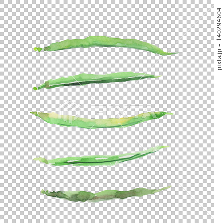 Watercolor illustration of green beans Watercolor illustration of green beans 140294604