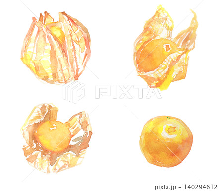 水彩で描いたフルーツほおずきのイラストセット 食用ほおずき 水彩で描いたフルーツほおずきのイラストセット 食用ほおずき 140294612