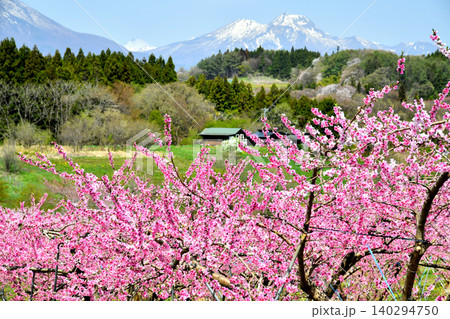 丹霞郷より妙高山方面を望む(長野県飯綱町)【2026.4】 丹霞郷より妙高山方面を望む(長野県飯綱町)【2026.4】 140294750