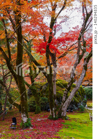 京都 宝厳院の紅葉 京都 宝厳院の紅葉 140294835