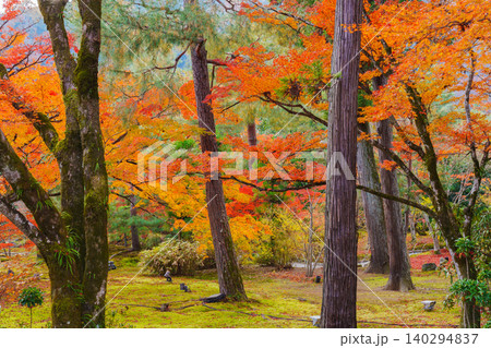 京都 宝厳院の紅葉 京都 宝厳院の紅葉 140294837