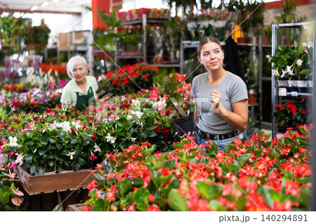 Smiling girl choosing blooming potted Begonia Big in garden store 140294891