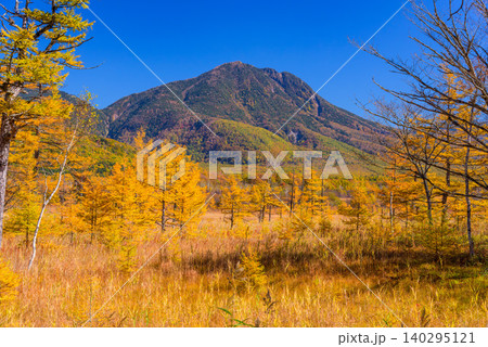 秋晴れの早朝 小田代ヶ原展望台から望む紅葉最盛期の木々と雄大な太郎山の絶景無人 秋晴れの早朝 小田代ヶ原展望台から望む紅葉最盛期の木々と雄大な太郎山の絶景無人 140295121