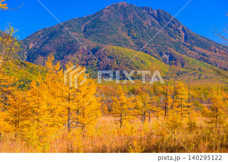 秋晴れの早朝 小田代ヶ原展望台から望む紅葉最盛期の木々と雄大な太郎山の絶景無人 秋晴れの早朝 小田代ヶ原展望台から望む紅葉最盛期の木々と雄大な太郎山の絶景無人 140295122
