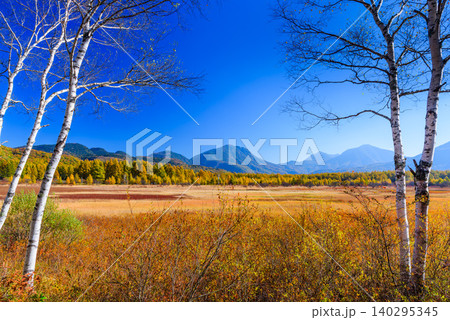 秋晴れの早朝 紅葉最盛期の小田代ヶ原 左右の白樺を額縁に望む広大な草紅葉と山々の絶景無人 秋晴れの早朝 紅葉最盛期の小田代ヶ原 左右の白樺を額縁に望む広大な草紅葉と山々の絶景無人 140295345