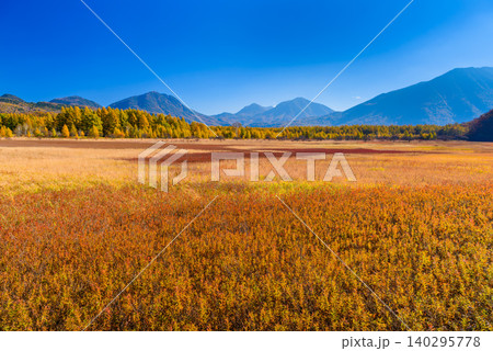 秋晴れの早朝 紅葉最盛期の奥日光・小田代ヶ原に広がる色鮮やかな草紅葉の絨毯と山々無人全景 秋晴れの早朝 紅葉最盛期の奥日光・小田代ヶ原に広がる色鮮やかな草紅葉の絨毯と山々無人全景 140295778
