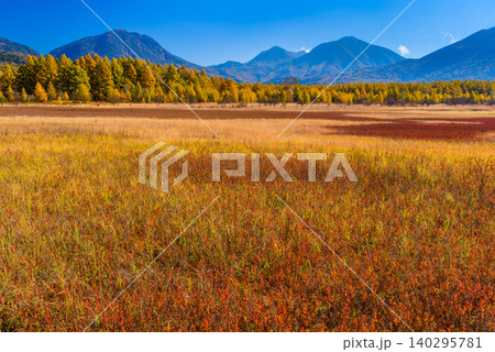 秋晴れの早朝 紅葉最盛期の奥日光・小田代ヶ原に広がる色鮮やかな草紅葉の絨毯と山々無人全景 秋晴れの早朝 紅葉最盛期の奥日光・小田代ヶ原に広がる色鮮やかな草紅葉の絨毯と山々無人全景 140295781