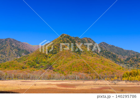 秋晴れの早朝 紅葉最盛期の奥日光・小田代ヶ原に広がる色鮮やかな草紅葉の絨毯と山々無人全景 秋晴れの早朝 紅葉最盛期の奥日光・小田代ヶ原に広がる色鮮やかな草紅葉の絨毯と山々無人全景 140295786
