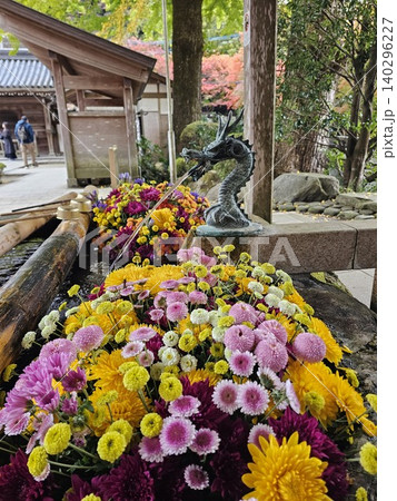 神社の手洗水 神社の手洗水 140296227