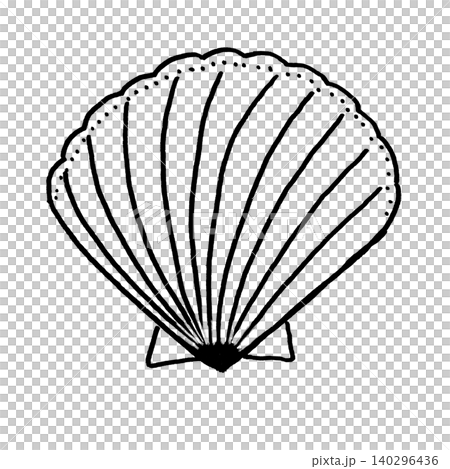 線画のシンプルな貝殻のイラスト 140296436