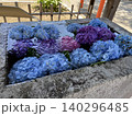 手水舎に浮かぶ紫陽花 140296485