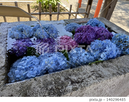 手水舎に浮かぶ紫陽花 140296485