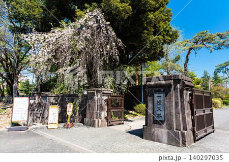 一橋大学 東キャンパスの入口周辺 東京都国立市中 一橋大学 東キャンパスの入口周辺 東京都国立市中 140297035