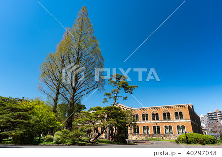一橋大学 東本館と巨大な樹 東京都国立市中 一橋大学 東本館と巨大な樹 東京都国立市中 140297038
