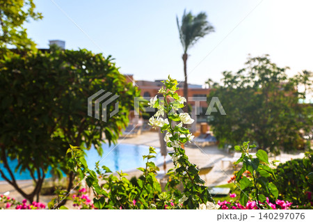 Luxurious Hotel Courtyard with Lush Greenery and Sunlit Swimming Pool Under Bright Summer Sky Luxurious Hotel Courtyard with Lush Greenery and Sunlit Swimming Pool Under Bright Summer Sky 140297076
