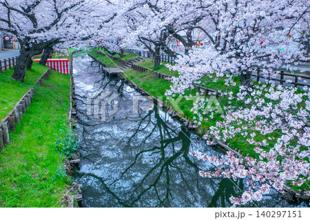 新河岸川(川越市)の桜並木 新河岸川(川越市)の桜並木 140297151