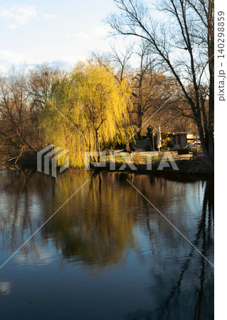 Spring Willow Tree By Calm River Spring Willow Tree By Calm River 140298859