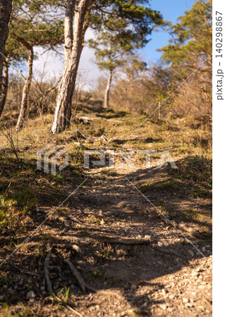 Sunlit Rocky Forest Trail path Sunlit Rocky Forest Trail path 140298867