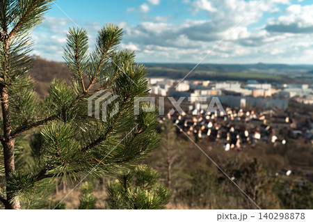 Pine Branch With Blurred Valley Town Background 140298878