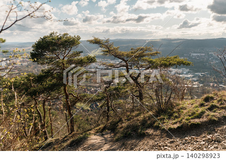 Pine Trees Above Valley City View Pine Trees Above Valley City View 140298923