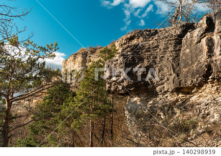 Limestone Cliff And Pine Trees Under Blue Sky Limestone Cliff And Pine Trees Under Blue Sky 140298939