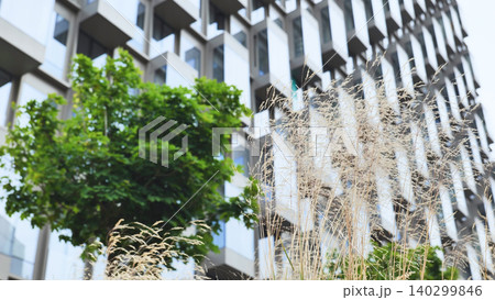 Modern architecture building in Moscow with glass facade and urban greenery elements Modern architecture building in Moscow with glass facade and urban greenery elements 140299846
