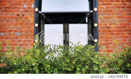 Green leaves growing in front of a red brick wall with modern window Green leaves growing in front of a red brick wall with modern window 140299878