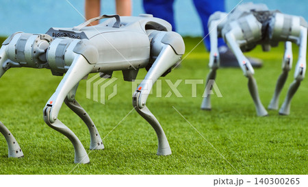 Robotic dog machine on artificial turf representing advanced ai and automation concept Robotic dog machine on artificial turf representing advanced ai and automation concept 140300265