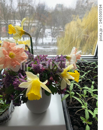 A vase with seasonal flowers sits on a windowsill in an apartment. Sunlight shines through the window, highlighting the colorful blooms and greenery A vase with seasonal flowers sits on a windowsill in an apartment. Sunlight shines through the window, highlighting the colorful blooms and greenery 140300594