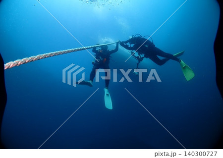 太陽の光を浴びるサンゴ礁と魚 太陽の光を浴びるサンゴ礁と魚 140300727