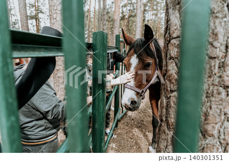 Horse stand in stall on sunny summer day, human hand stroking and feeding foal Horse stand in stall on sunny summer day, human hand stroking and feeding foal 140301351