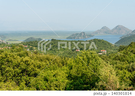Skadar Lake in Montenegro, summer scenic waterscape pond on sunny day nature 140301814