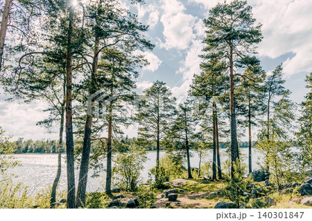 Landscape of summer river Vuoksa among stones, fast flow water reservoir Russia 140301847