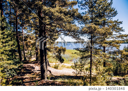 Landscape of summer river Vuoksa among stones, fast flow water reservoir Russia 140301848