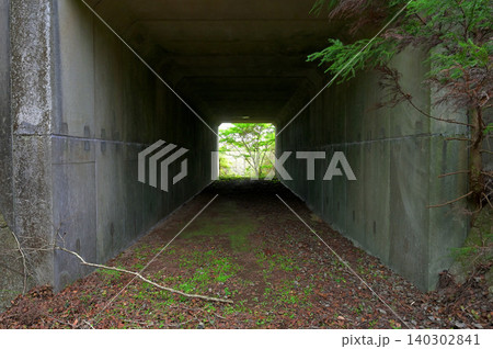 伊豆半島 伊豆山稜線歩道 土肥峠の静岡県道411号西天城高原線下のトンネル 伊豆半島 伊豆山稜線歩道 土肥峠の静岡県道411号西天城高原線下のトンネル 140302841
