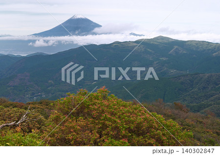 伊豆半島　伊豆山稜線歩道　魂ノ山山頂より望む富士山と達磨山 140302847