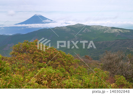 伊豆半島　伊豆山稜線歩道　魂ノ山山頂より望む雪化粧した富士山と達磨山 140302848