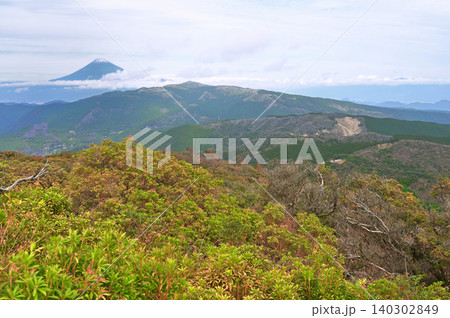 伊豆半島 伊豆山稜線歩道 魂ノ山山頂より望む雪化粧した富士山と達磨山 伊豆半島 伊豆山稜線歩道 魂ノ山山頂より望む雪化粧した富士山と達磨山 140302849