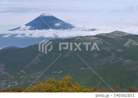 伊豆半島 伊豆山稜線歩道 魂ノ山山頂より望む雪化粧した富士山と達磨山 伊豆半島 伊豆山稜線歩道 魂ノ山山頂より望む雪化粧した富士山と達磨山 140302851