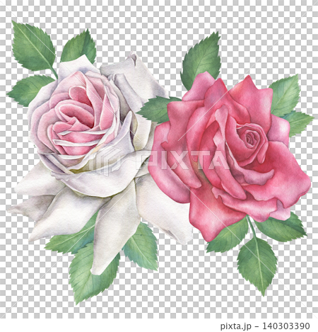 White and pink roses bloom with green leaves, composition isolated on white background. Watercolor floral illustration. Hand drawn. For invitations, design, fabrics and textiles White and pink roses bloom with green leaves, composition isolated on white background. Watercolor floral illustration. Hand drawn. For invitations, design, fabrics and textiles 140303390