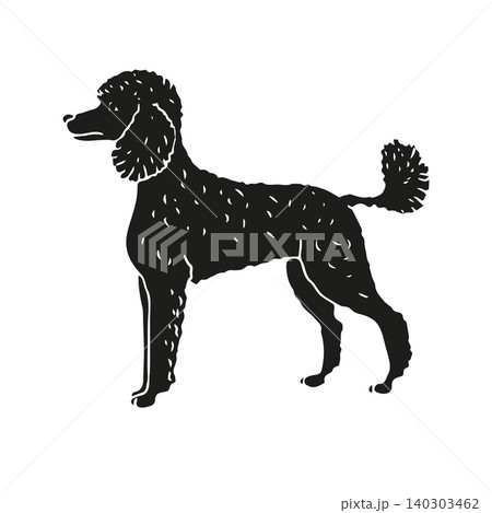 Vector hand drawn sketch doodle outline poodle dog Vector hand drawn sketch doodle outline poodle dog 140303462