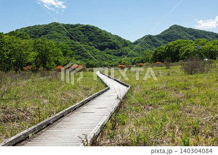 初夏の榛名山 ゆうすげの道ハイキングコースの木道 初夏の榛名山 ゆうすげの道ハイキングコースの木道 140304084