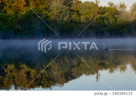Misty Forest Lake Reflections with Swimming Ducks Misty Forest Lake Reflections with Swimming Ducks 140304133