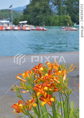 フランス・アヌシーの水辺に咲く花々 夏の美しい風景（2021年7月30日） 140304153