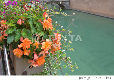 フランス・アヌシーの水辺に咲く花々 夏の美しい風景（2021年7月30日） 140304163