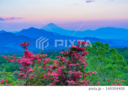 【山梨県】山ツツジ咲く清里の美し森　富士山遠望　夕景 140304400